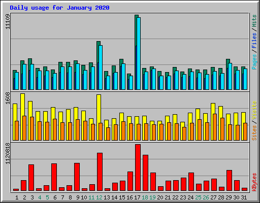 Daily usage for January 2020