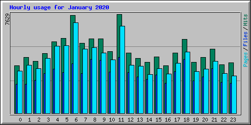 Hourly usage for January 2020