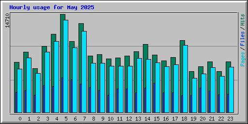 Hourly usage for May 2025