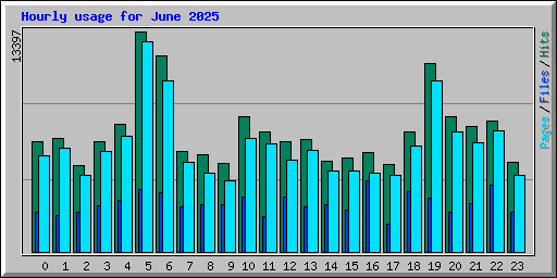Hourly usage for June 2025