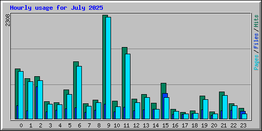 Hourly usage for July 2025