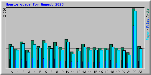 Hourly usage for August 2025