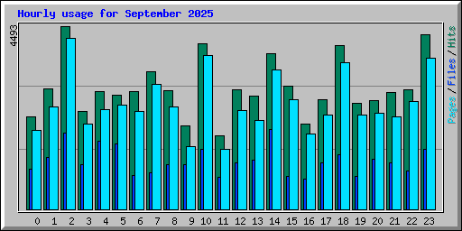 Hourly usage for September 2025