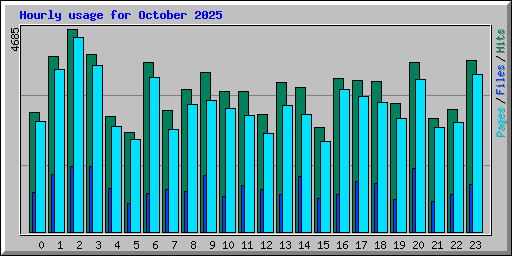 Hourly usage for October 2025