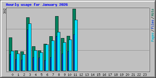 Hourly usage for January 2026