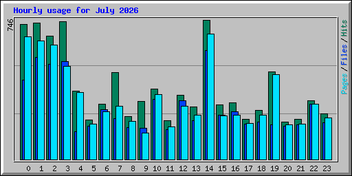 Hourly usage for July 2026
