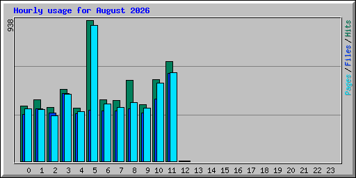 Hourly usage for August 2026